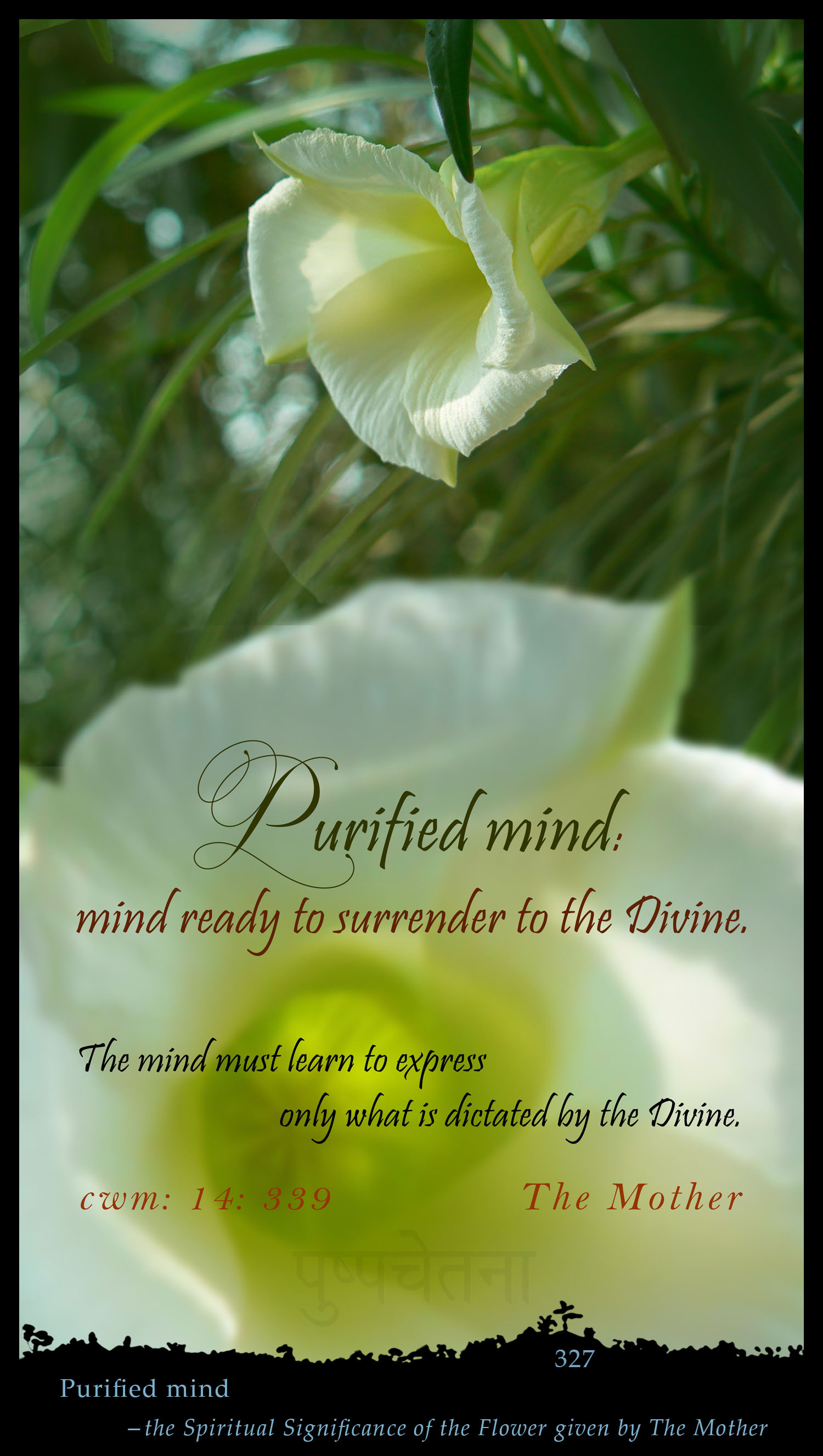 Purified Mind
